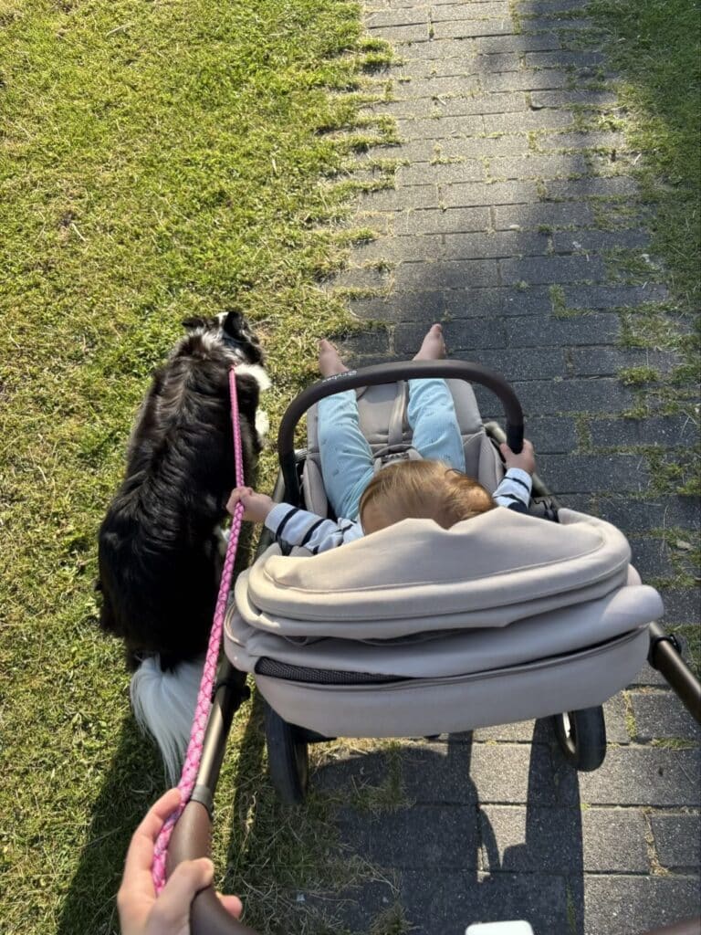 Passeio