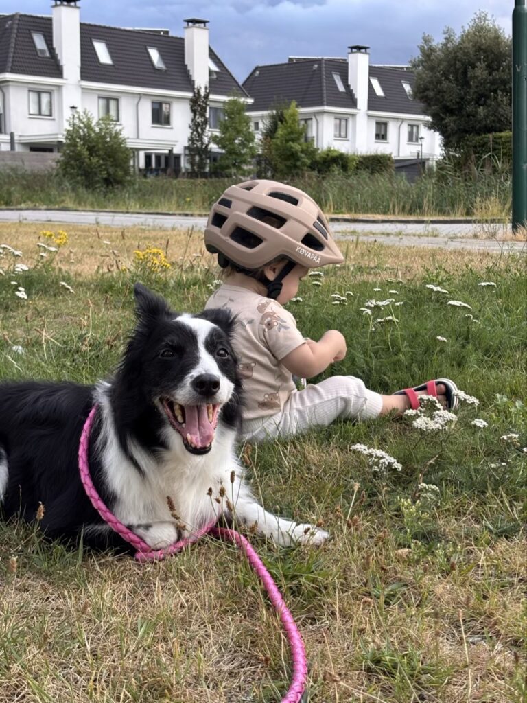 dois corações